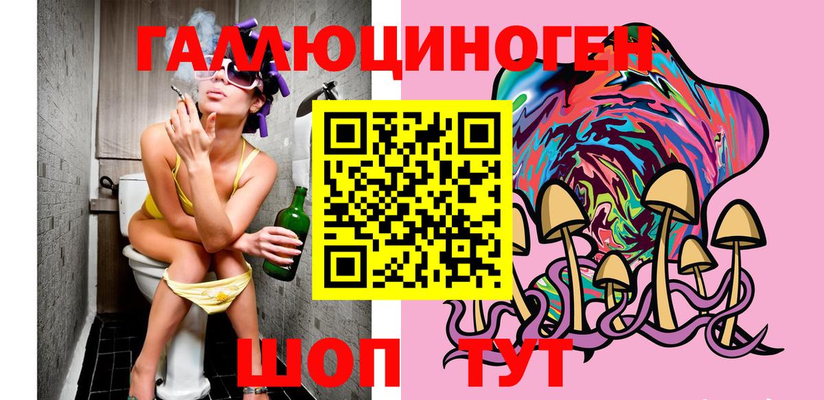 Псилоцибиновые грибы мицелий Холмск