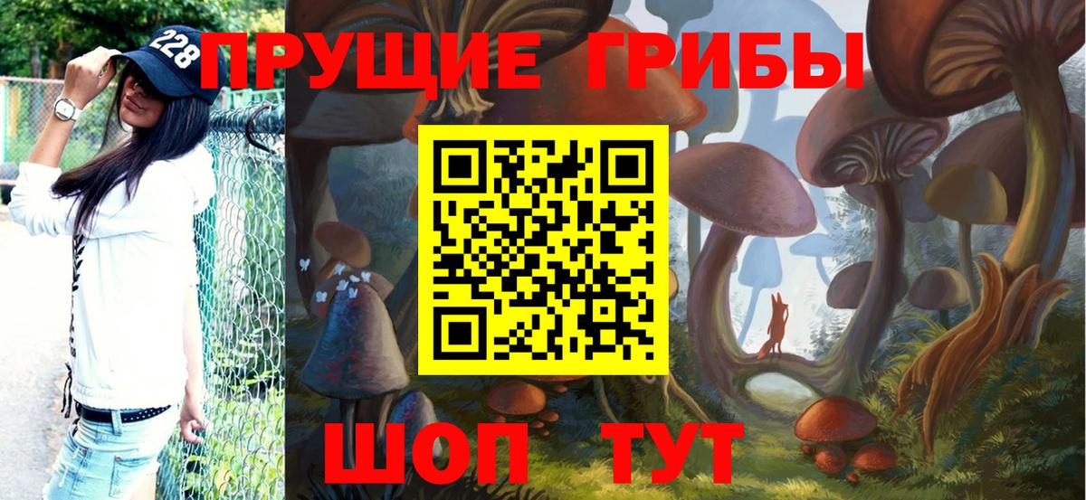 Холмск  Галлюциногенные грибы мицелий  купить  сайты  Галлюциногенные грибы ЛСД  Вход с VPN 